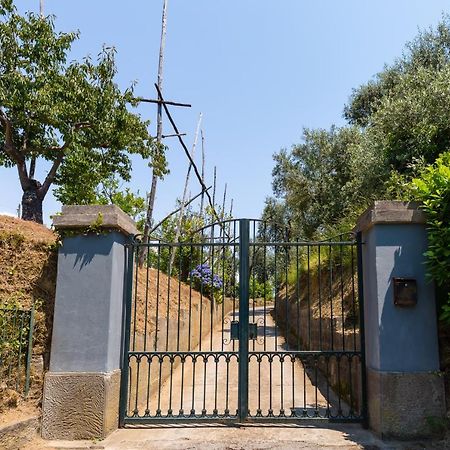 Villa Ada Sorrento Buitenkant foto