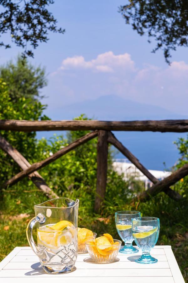 Villa Ada Sorrento Buitenkant foto