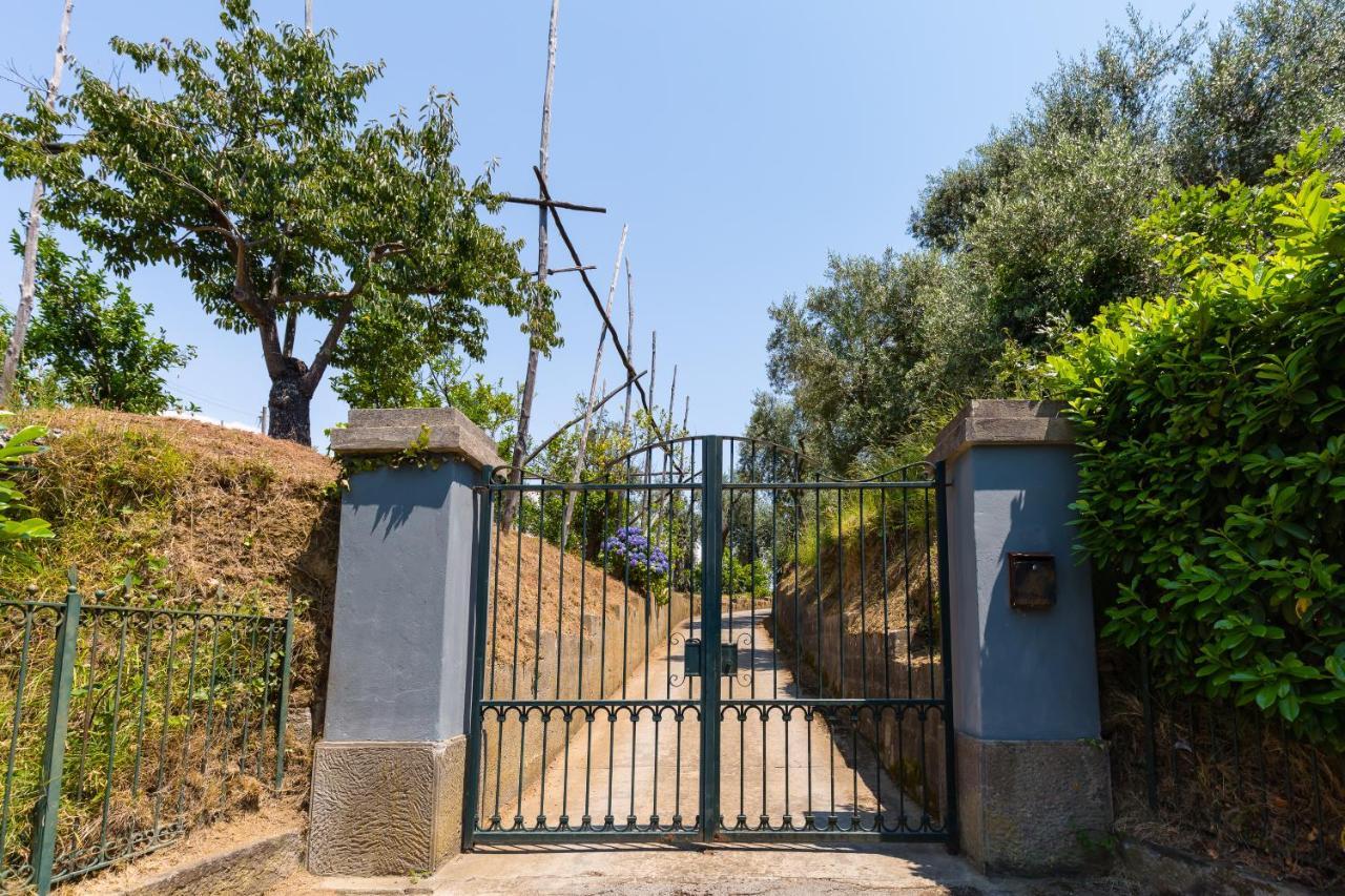 Villa Ada Sorrento Buitenkant foto